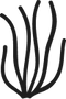 Cordyceps